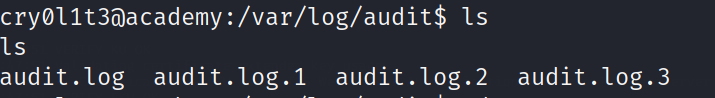 audit_logs