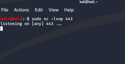 netcat ready