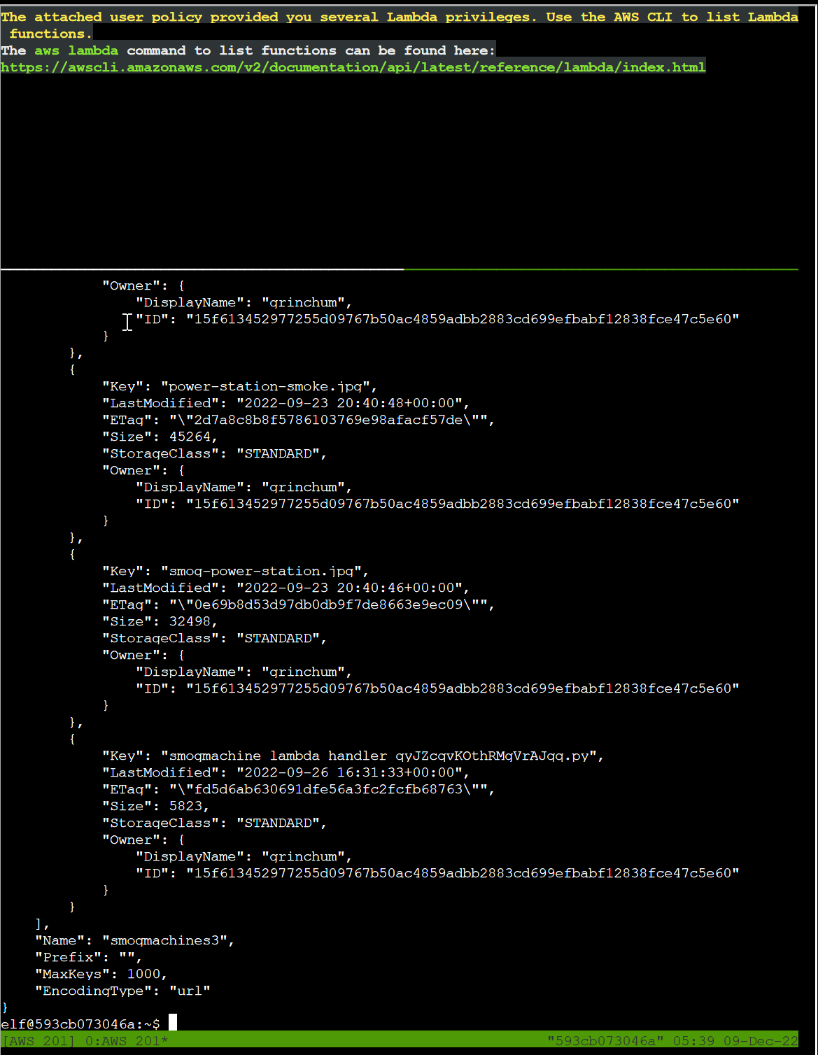 AWS CLI Exploitation